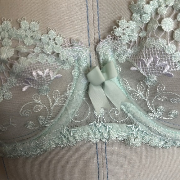 Simone Perele Wish Sheer Lace Demi Bra Robin’s Egg Blue Bridal Lingerie 34B Rare - Picture 4 of 13